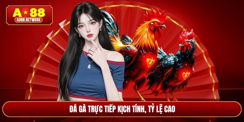 Đá gà trực tiếp kịch tính, tỷ lệ cao